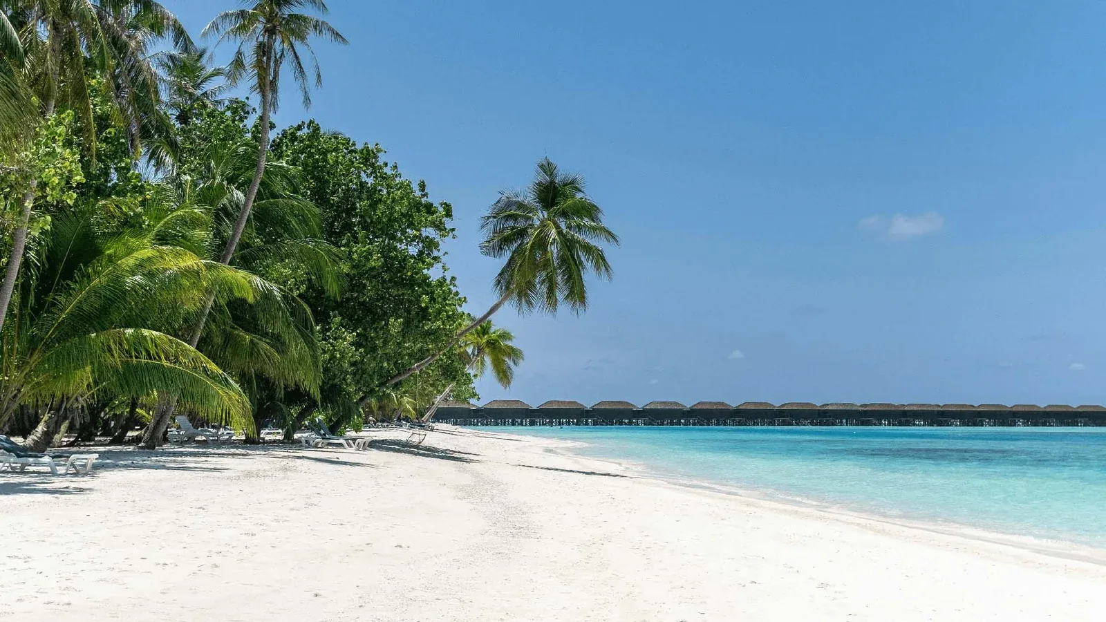 Strand auf den Kaimaninseln, Bankplatz für Fonds