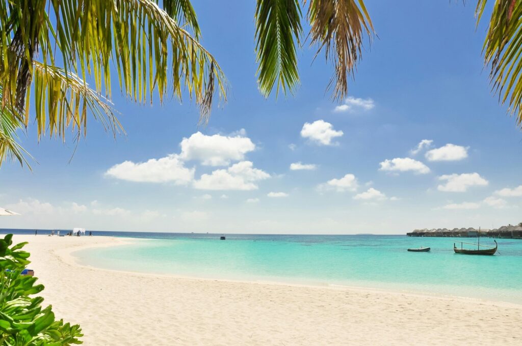 caribbean